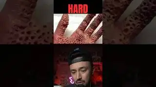 Trypophobia ASMR???? | Fast ASMR | Aggressive ASMR