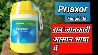 Priaxor Fungicide || BASF priaxor || a2z farming || Fluxapyroxad Pyraclostrobin use in hindi