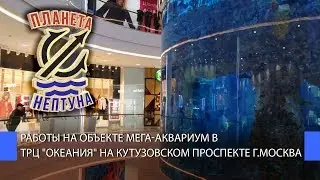 Работы для мега-аквариума в ТРЦ «Океания», г. Москва