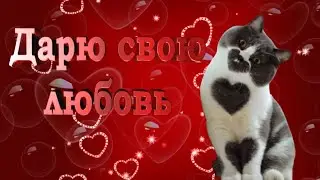 ДАРЮ СВОЮ ЛЮБОВЬ!