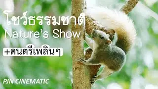โชว์ธรรมชาติ Nature's Show + ดนตรีเพลิน ๆ/ สวนสาธารณะ/ สงบ สันติ อยู่ที่ใจเรา