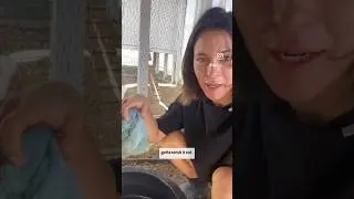 The downside of backyard chickens + day of care