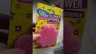 Quick scrub of the floor 