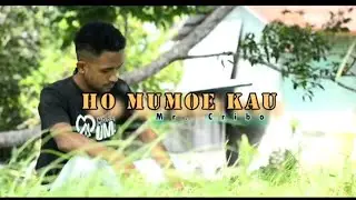 Mr.Cribo || HO MUMOE KAU || Lagu Tebe 2024