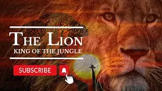 KING OF THE JUNGLE