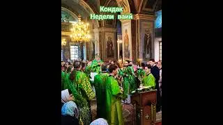 Кондак Вербного Воскресения
