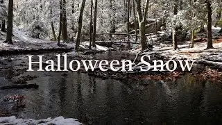 Halloween Snow