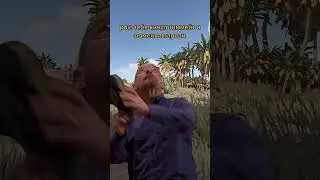 RUST MEM pov: teammate changed passwords 
