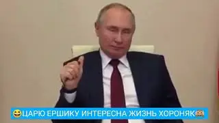 Где деньги Зина? Как Путин пытается казаться добрым царем 😆 Курам на смех 🐓