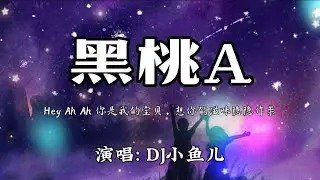 DJ小鱼儿-黑桃A 『Hey Ah Ah 你是我的宝贝，想你的滋味隐隐作祟。』🎵【动态歌词Lyrics video】#超好听 #music #lyrics #pinyin