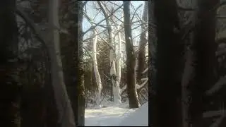 21 января 2024 г.