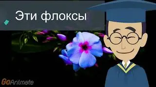 Эти флоксы