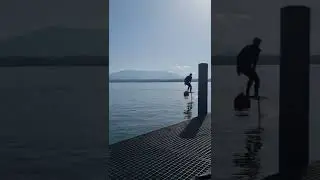 real dock start with AXIS ART 1099