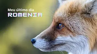 Tesouros Romênia: Meu último dia nesse País maravilhoso.