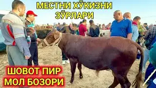 ЁШ МЕСТНИ ХЎКИЗНИ ЗЎРЛАРИ ТУШДИ БУГУН ХОРАЗМ ШОВОТ ПИР БОЗОРИ 24-апреля 2024 г.