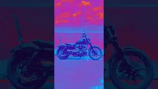 Sportster Summer #sportster #iron883 #motorcycles