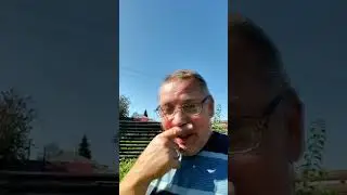 Как в деревне ГАДЮКИНО закончился потоп? Солнце вернулось☀️, пчелы принялись за работу! 🐝🍯