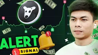 DOGS Airdrop Price ALERT Strategy for Beginners