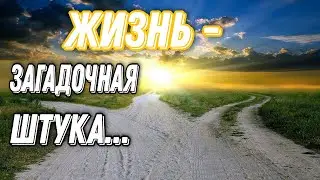 ПРОНИКНОВЕННОЕ СТИХОТВОРЕНИЕ О ЖИЗНИ 