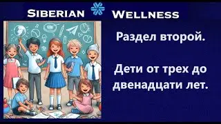Память и внимание. Часть 2.
