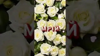з днем народження 🌹