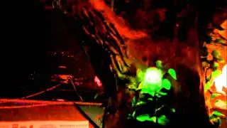 Tiger Dinner @ Patong, Thailand, Phuket - When it rains it pours - 