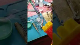 Kids bubble Shooter Gun #shorts #bubblegun