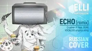 AudioNeko & Elli - ECHO [Vocaloid RUS remix COVER] HBD Viampra