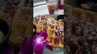 Pumpkin Pecan Waffles at the Salty Dog Cafe!!🎃🧇 #shorts #pumpkin #halloween #saltydog #waffles