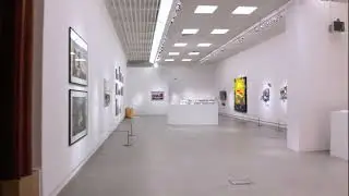 Divided Selves Part Two: Exhibition Flythrough