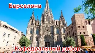 Кафедральный Собор Святого Креста и Святой Евлалии. Барселона. Испания.