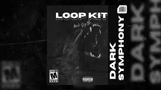 FREE ROB49 LOOP KIT - ''DARK SYMPHONY'' (EST GEE, ANTI DA MENACE)