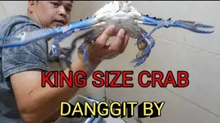 KING SIZE CRAB - DANGGIT BY @raphvlog5191 DAILY BLOGS.