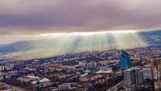 Sofia