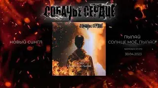 Собачье Сердце - Пылай, Солнце Моё, Пылай! (official music video 2023)