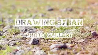 Pagan Ink Tattoo & Body Piercing Est 2001