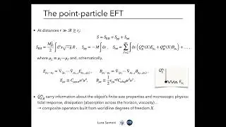 Dynamical Tidal Response of Schwarzschild Black Holes - Luca Santoni