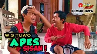 APES || FILM PENDEK KOMEDI JAWA