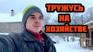 ТРУЖУСЬ ОДИН НА ХОЗЯЙСТВЕ В ГЛУХОЙ ДЕРЕВНЕ