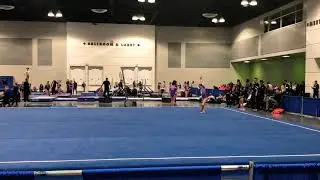 Gliders Invitational 2019 Level 9 floor