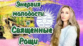 Энергия молодости и Священные Рощи