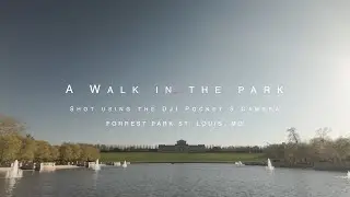 A Walk In The Park, filmed with the Osmo Pocket 3 camera