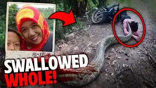 The HORRIFYING Last Minutes of Wa Tiba Eaten Alive By Snake!