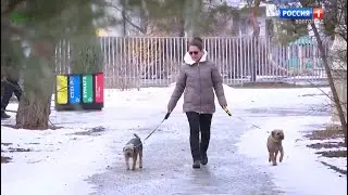 Утро России. Волгоград. Эфир от 14.02.2024.