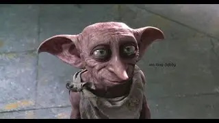 a dobby edit♡