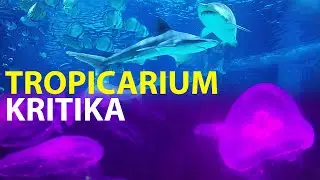 Tropicarium-kritika (a cápás állatkert bemutató)