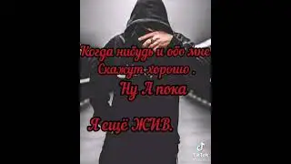 #цитаты