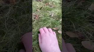 ￼ People touch grass 
