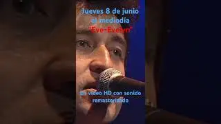 Video diario Quinta Vergara