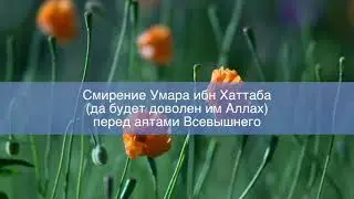 Смирение Умара перед аятами Аллаха || Артур Абу Ибрагим